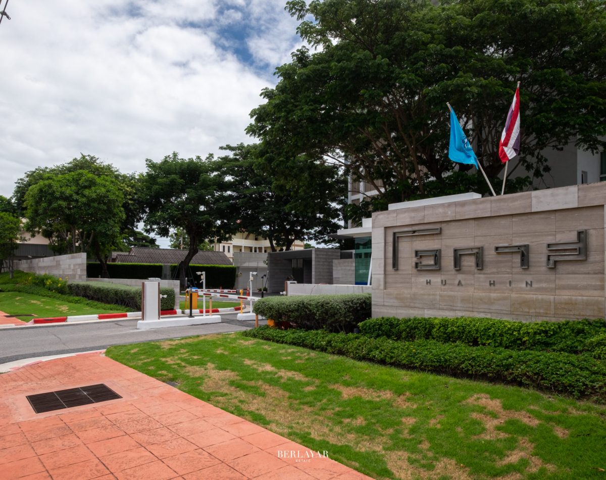 DSC01 (102 (36)